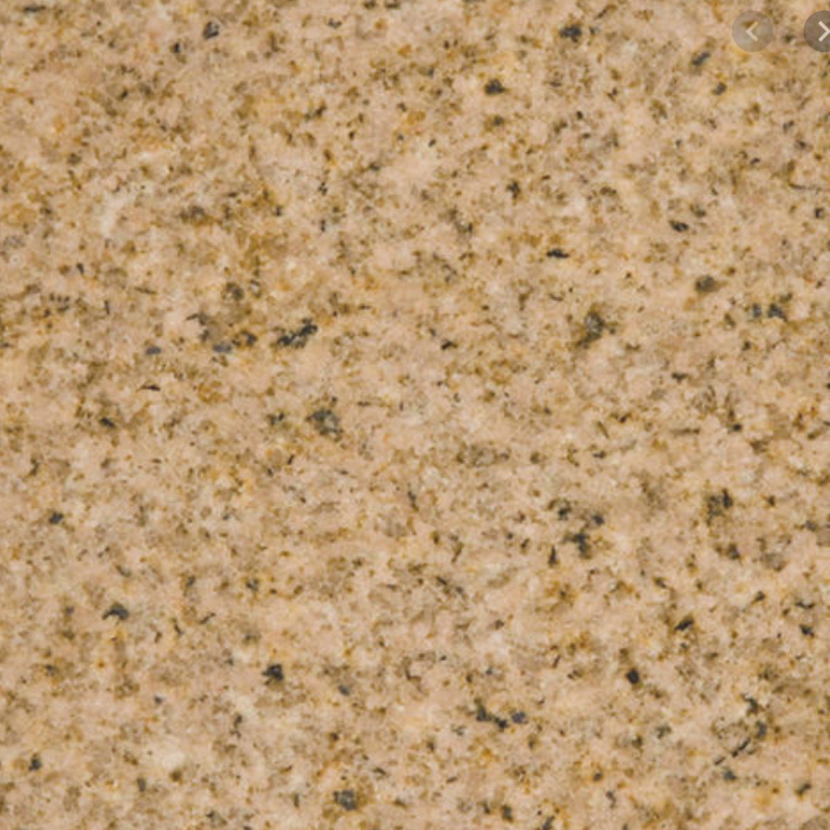 Gold Sand Gold Sand